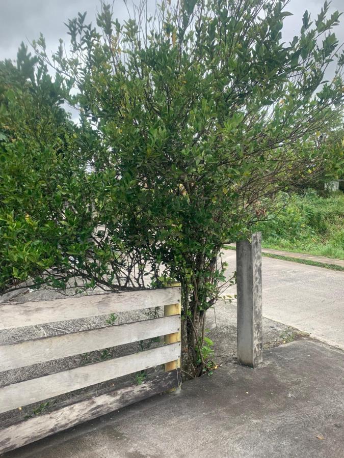 Caraibes Loc Διαμέρισμα Ducos Εξωτερικό φωτογραφία